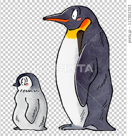 コウテイペンギンの親子 117802303