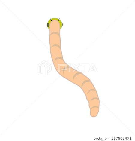 虫のイラスト 117802471