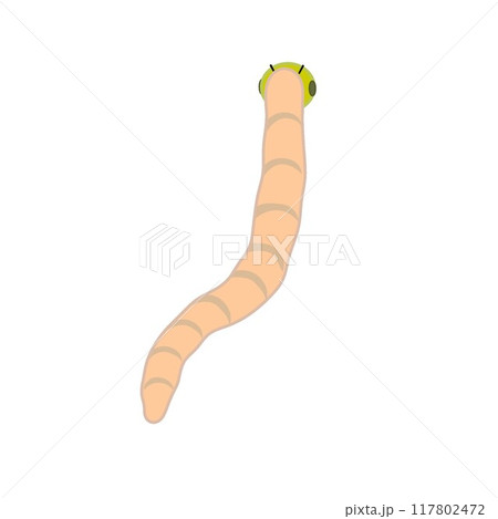 虫のイラスト 117802472