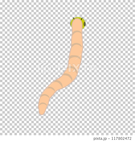 虫のイラスト 117802472