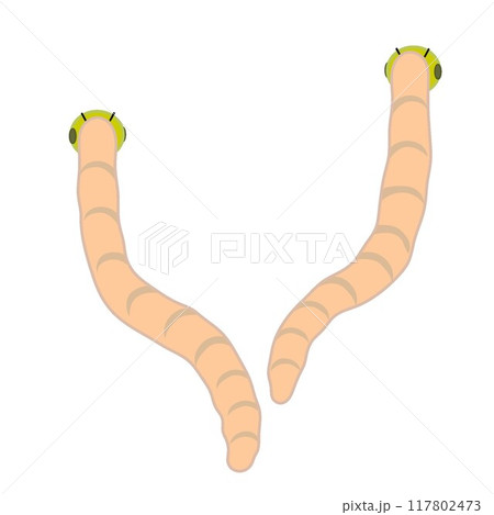 虫のイラスト 117802473