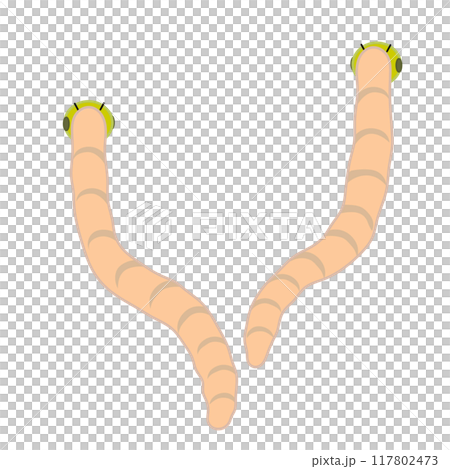 虫のイラスト 117802473