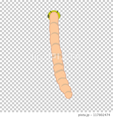 虫のイラスト 117802474