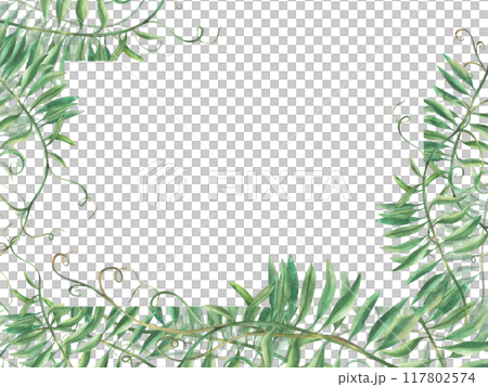 Mouse pea flowerless banner. wildflower climbing plan twig template. Watercolour floral illustration. Meadow grass, realistic hand painted Clipart for greeting card, label. isolated from background. 117802574