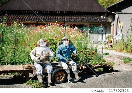 奥播磨かかしの里 かかしとコスモス 奥播磨かかしの里 かかしとコスモス 117802598