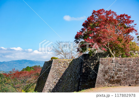 岡城跡の石垣と紅葉 117802978