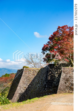 岡城跡の石垣と紅葉 117802979