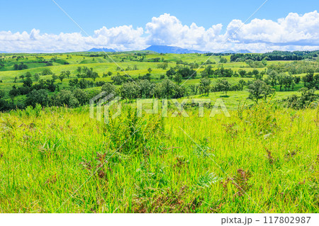 押戸石の丘 押戸石の丘 117802987