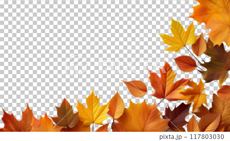 Fallen leaves bottom right frame 117803030
