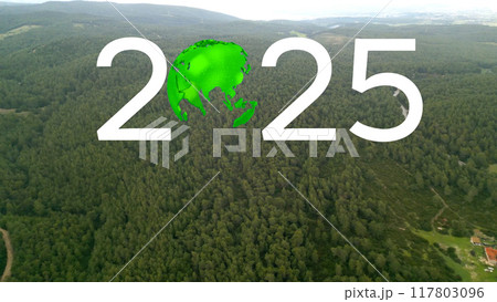 2025 New Year concept. Environmental technology concept. Sustainable development goals. SDGs. hq 117803096