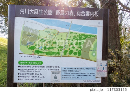 野鳥の森公園の看板 日本国埼玉県熊谷市ひろせ野鳥の森駅2024年4月 117803136