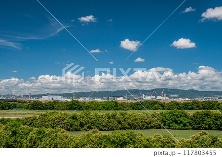 夏の淀川河川公園太間地区　寝屋川市 117803455