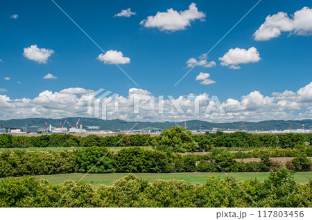 夏の淀川河川公園太間地区 寝屋川市 夏の淀川河川公園太間地区 寝屋川市 117803456