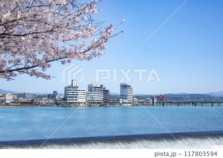 日田市三隈川公園の桜とホテル街並み 日田市三隈川公園の桜とホテル街並み 117803594