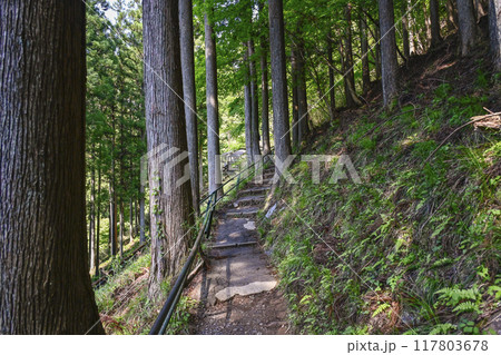 郡上八幡・大滝鍾乳洞　帰り道 117803678
