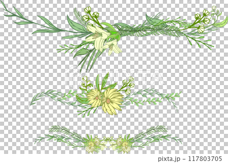 植物裝飾線條插畫素材集 117803705