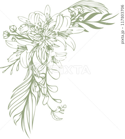 線画の花と百合のイラスト素材 117803706