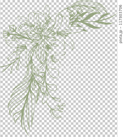 線画の花と百合のイラスト素材 117803706