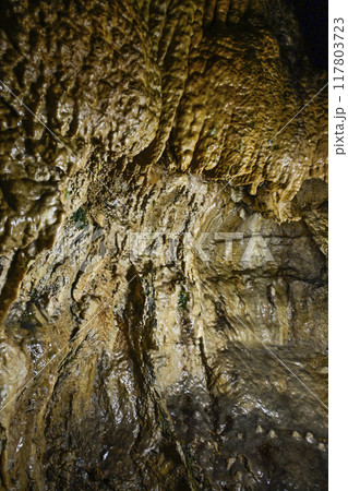 郡上八幡・大滝鍾乳洞　洞内 117803723