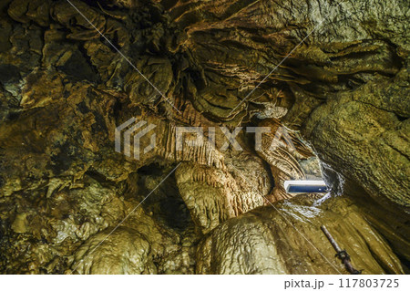 郡上八幡・大滝鍾乳洞 洞内 郡上八幡・大滝鍾乳洞 洞内 117803725