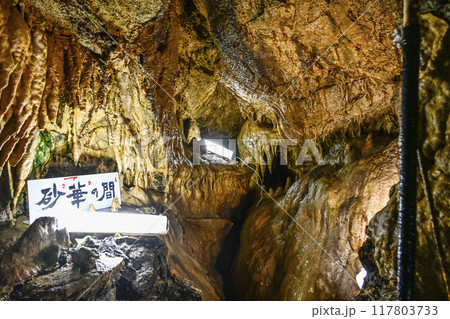 郡上八幡・大滝鍾乳洞　洞内 117803733