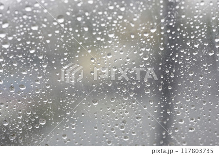 ビニール傘に付いた雨粒 ビニール傘に付いた雨粒 117803735