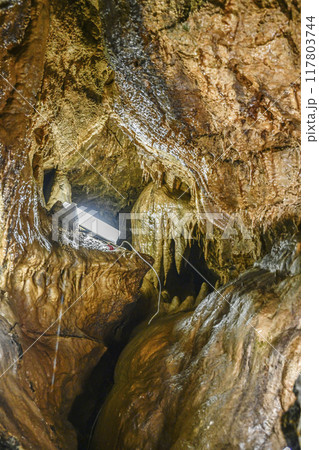 郡上八幡・大滝鍾乳洞　洞内 117803744