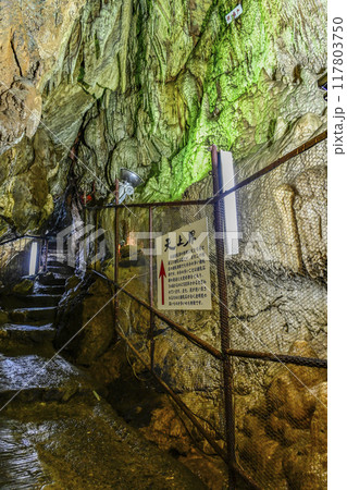 郡上八幡・大滝鍾乳洞　洞内　天上界 117803750