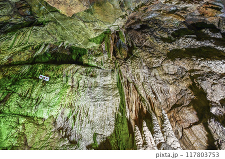 郡上八幡・大滝鍾乳洞　洞内 117803753
