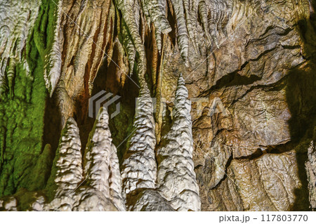 郡上八幡・大滝鍾乳洞　洞内 117803770