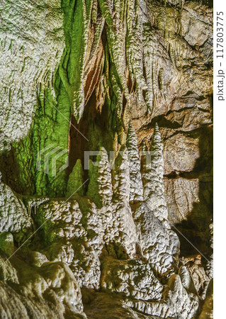 郡上八幡・大滝鍾乳洞　洞内 117803775