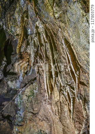 郡上八幡・大滝鍾乳洞　洞内 117803779