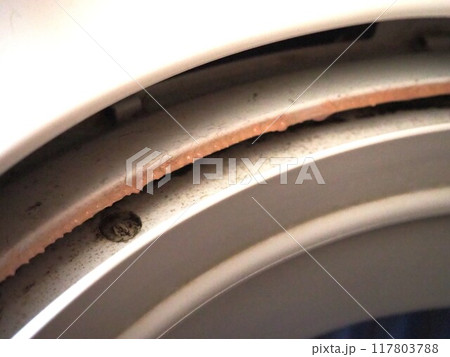 洗濯機に溜まった汚れの写真 洗濯機に溜まった汚れの写真 117803788