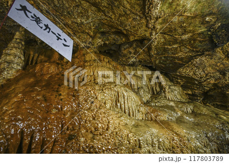 郡上八幡・大滝鍾乳洞 洞内 大滝カーテン 郡上八幡・大滝鍾乳洞 洞内 大滝カーテン 117803789