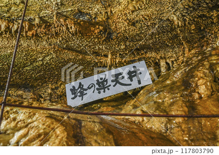 郡上八幡・大滝鍾乳洞　洞内　蜂の巣天上 117803790