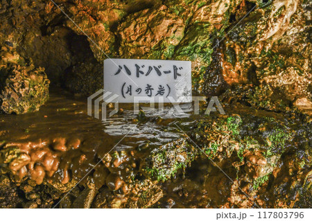 郡上八幡・大滝鍾乳洞 洞内 ハドバード(月の奇岩) 郡上八幡・大滝鍾乳洞 洞内 ハドバード(月の奇岩) 117803796