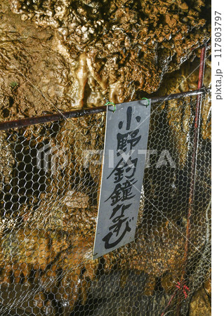 郡上八幡・大滝鍾乳洞 洞内 小野釣鐘なすび 郡上八幡・大滝鍾乳洞 洞内 小野釣鐘なすび 117803797