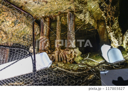 郡上八幡・大滝鍾乳洞　洞内　赤鬼の爪 117803827