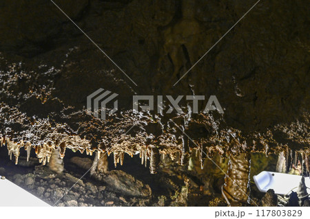 郡上八幡・大滝鍾乳洞 洞内 郡上八幡・大滝鍾乳洞 洞内 117803829