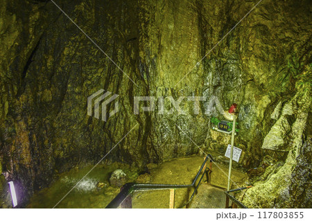 郡上八幡・大滝鍾乳洞 洞内 大滝洞窟不動尊 郡上八幡・大滝鍾乳洞 洞内 大滝洞窟不動尊 117803855
