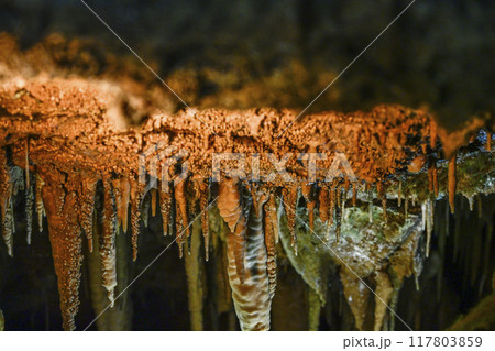 郡上八幡・大滝鍾乳洞 洞内 郡上八幡・大滝鍾乳洞 洞内 117803859