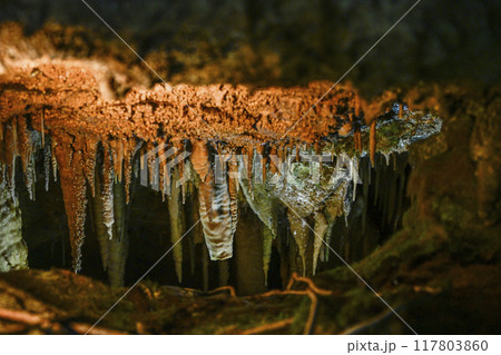 郡上八幡・大滝鍾乳洞 洞内 郡上八幡・大滝鍾乳洞 洞内 117803860