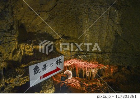 郡上八幡・大滝鍾乳洞 洞内 郡上八幡・大滝鍾乳洞 洞内 117803861