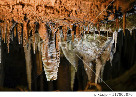 郡上八幡・大滝鍾乳洞 洞内 郡上八幡・大滝鍾乳洞 洞内 117803870