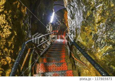 郡上八幡・大滝鍾乳洞 洞内 郡上八幡・大滝鍾乳洞 洞内 117803871