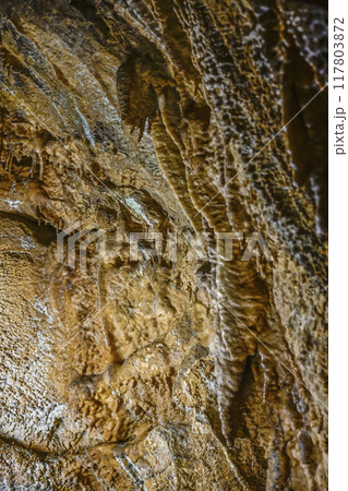 郡上八幡・大滝鍾乳洞　洞内 117803872