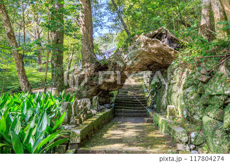 滝の観音（長崎県長崎市） 117804274