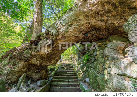 滝の観音（長崎県長崎市） 117804276