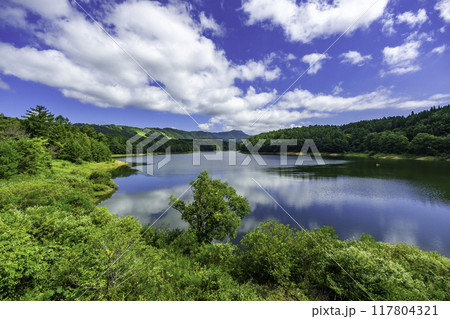 恩原湖　岡山県鏡野町 117804321
