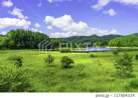 恩原湖　岡山県鏡野町 117804324